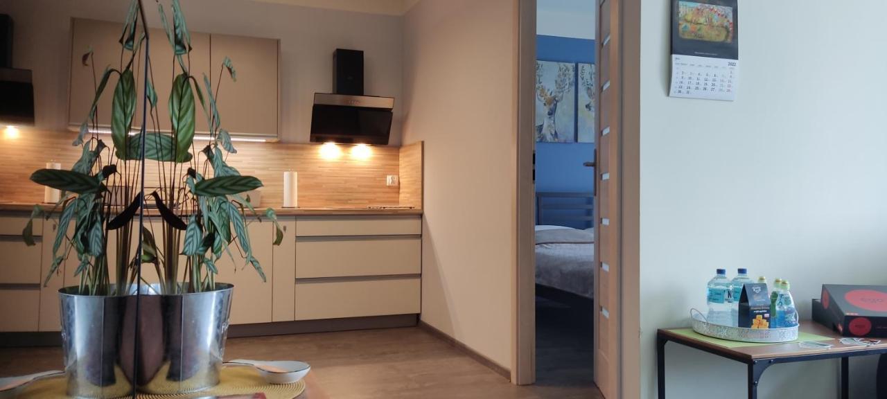Fajny Kat - Apartamenty W Centrum, Najwyzsze Opinie Gosci Jelenia Gora Exterior photo